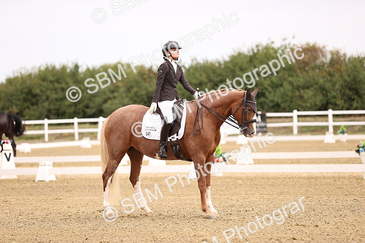 SBM_011523 - Class 1 - Medium 5