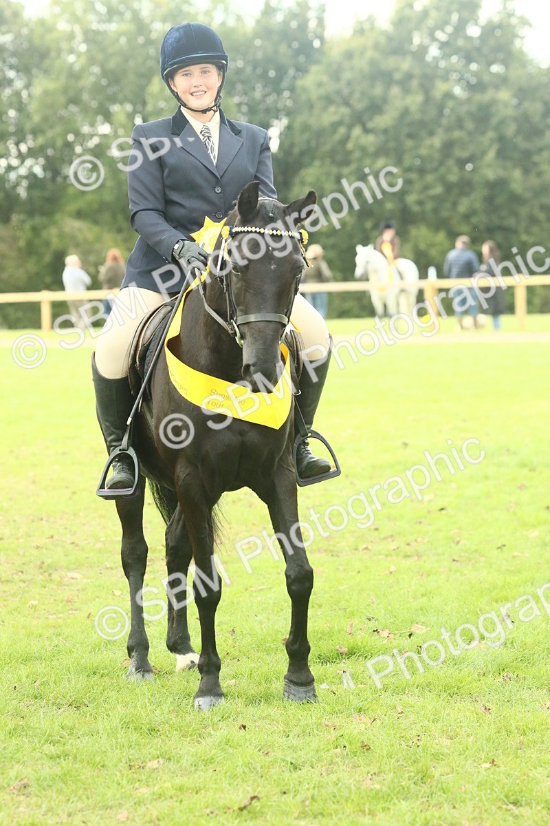 SBM_74140 - S 61 - Show Pony & Show Hunter Pony Ridden