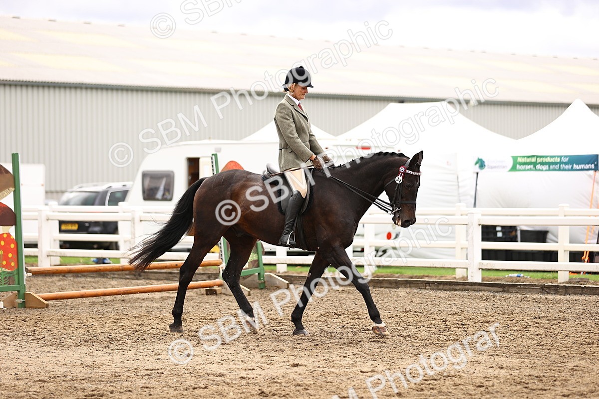 SBM_00549 - Class 53 - Ridden Competition Horse Pony