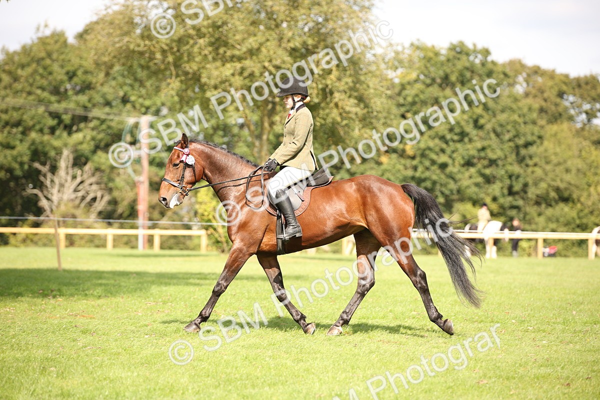 SBM_65937 - S64 - Riding Horse & Hack & Thoroughbred Ridden