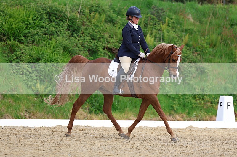 3E7A3469 - Class 2: INTRO B- INTRO 3 2024