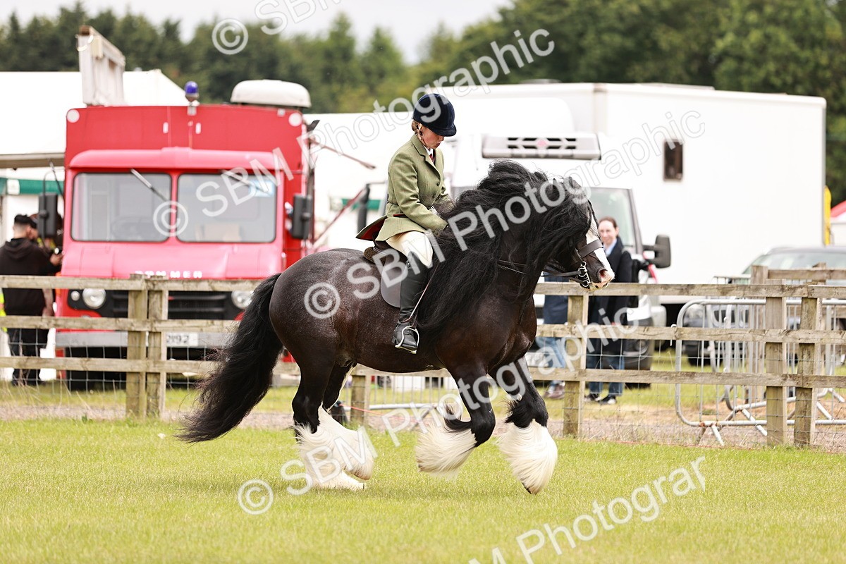 SBM_06223 - Class 39-41 TGCA In Hand and Ridden