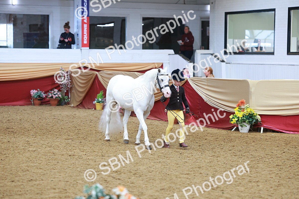 SBM_10727 - Class 103 - HOYS Veteran Qualifier - Ridden Pre Vet