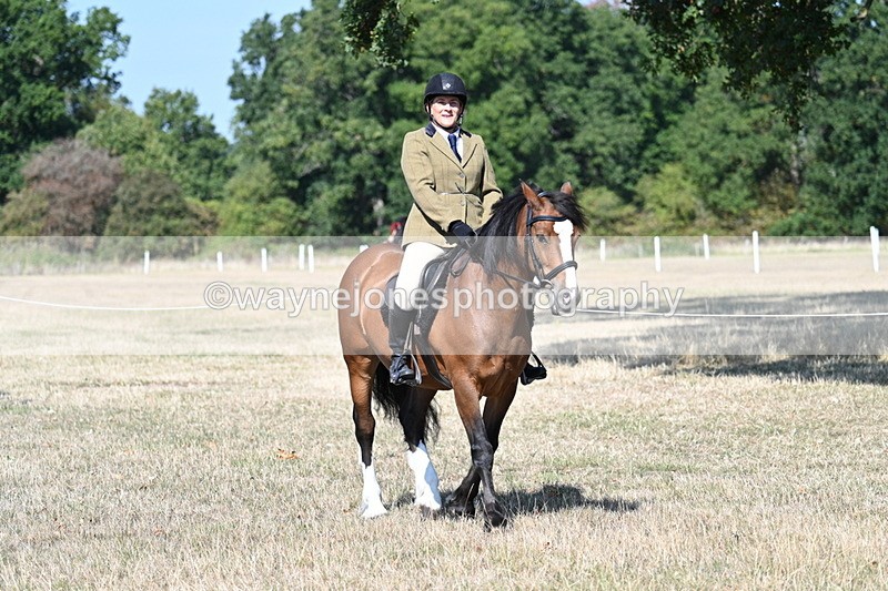 WJ7_3518 - Class 9 Mountain & Moorland Ridden