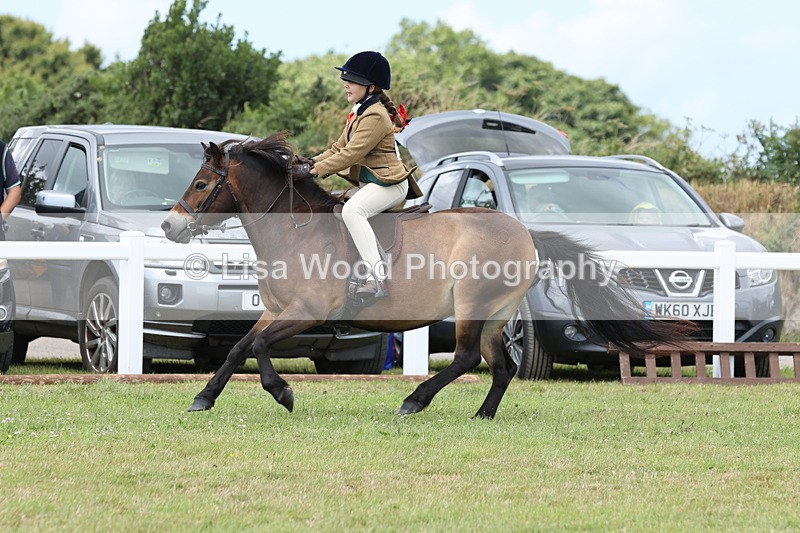JPP_1935 - Class 18: Tiny Tots Working Hunter Pony