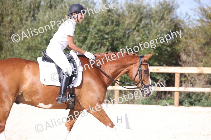 20260905-1555 - Class 5 - Novice 2