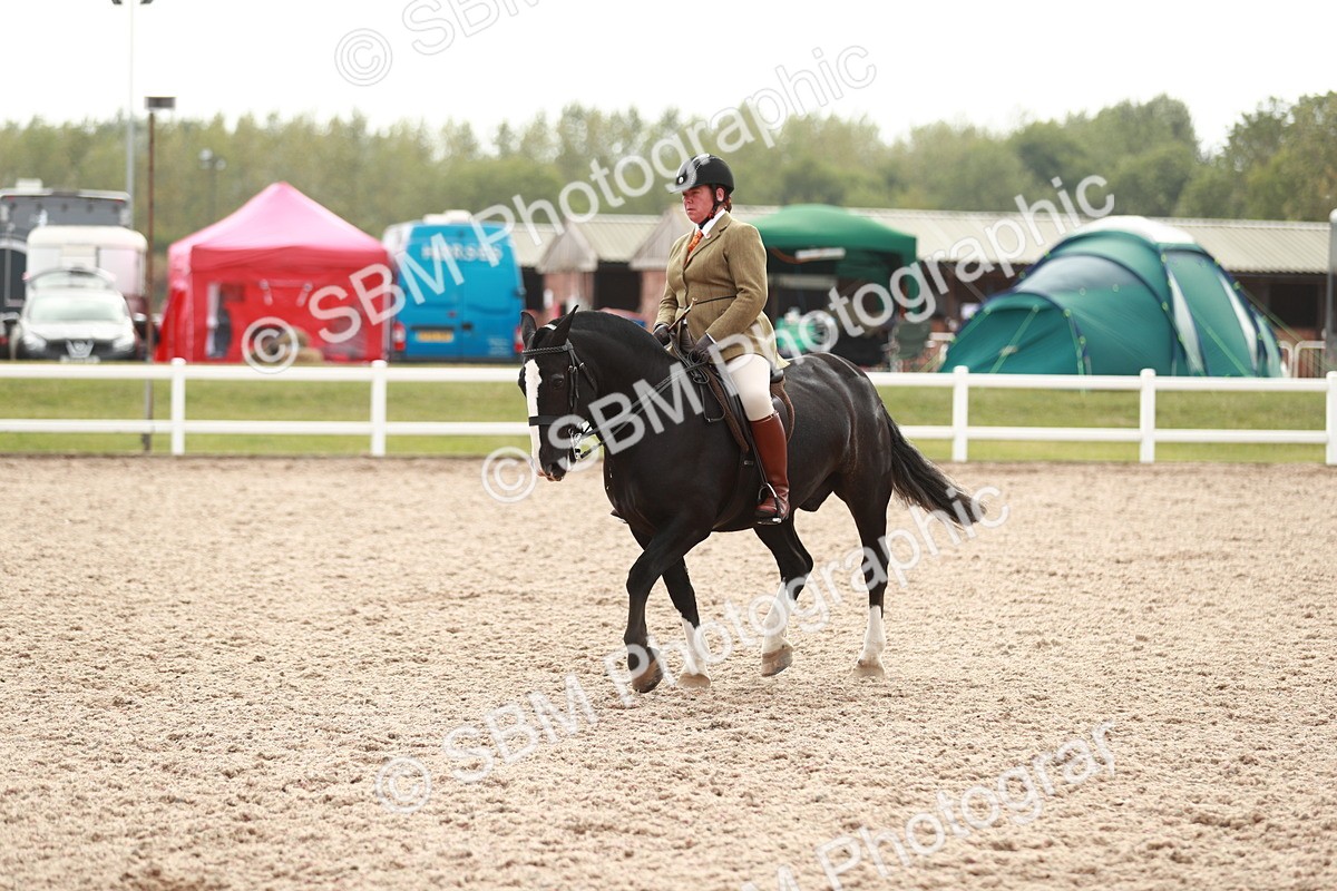 SBM_16716 - Class 214 Ridden Cob