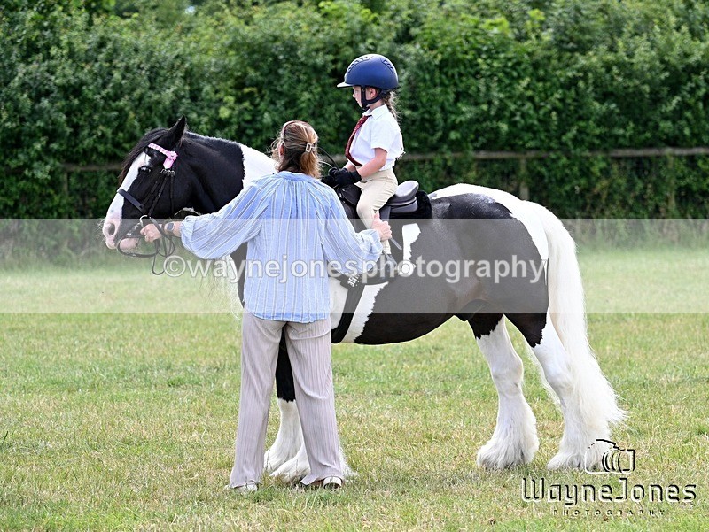 WJ7_8113 - Nancy And Churchill SORC summer show 21-06-26
