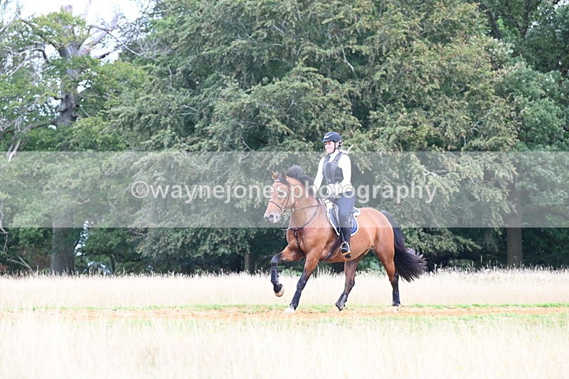 DSC_7815 - Time at Statue 13:16 to 13:52