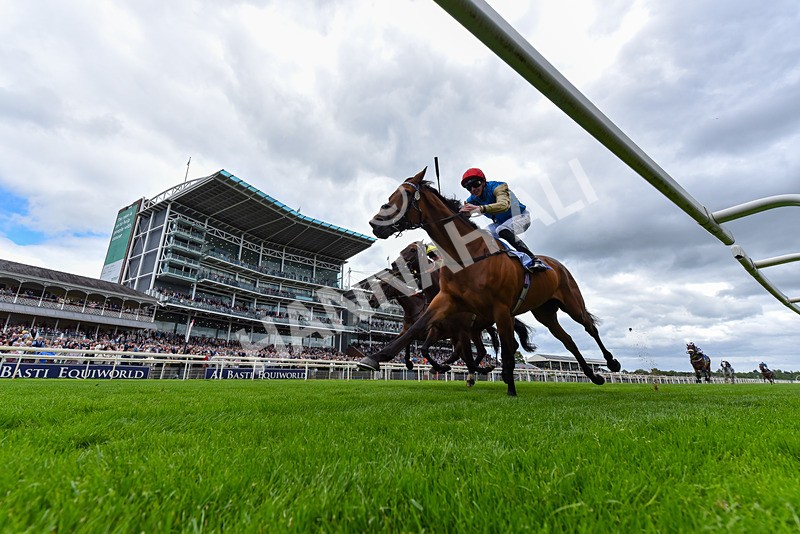 130626-Race 3-Gregory-0338 - Race 3 15.00pm Sky Bet Race To The Ebor Grand Cup Stakes