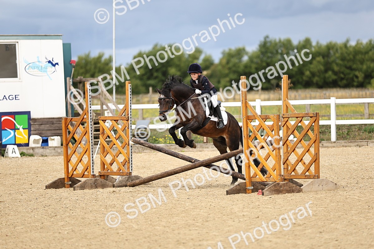 SBM_002916 - 50cm