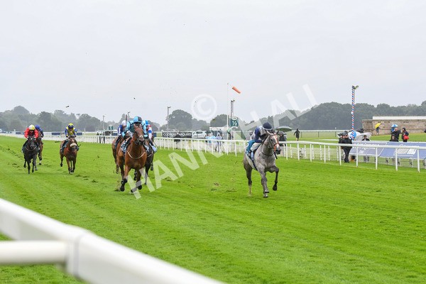 140723-Race 3-Symbology-0275 - Race 3 3.15pm William Hill Keep Your Raceday Positive Irish EBF Fillies' Novice Stakes