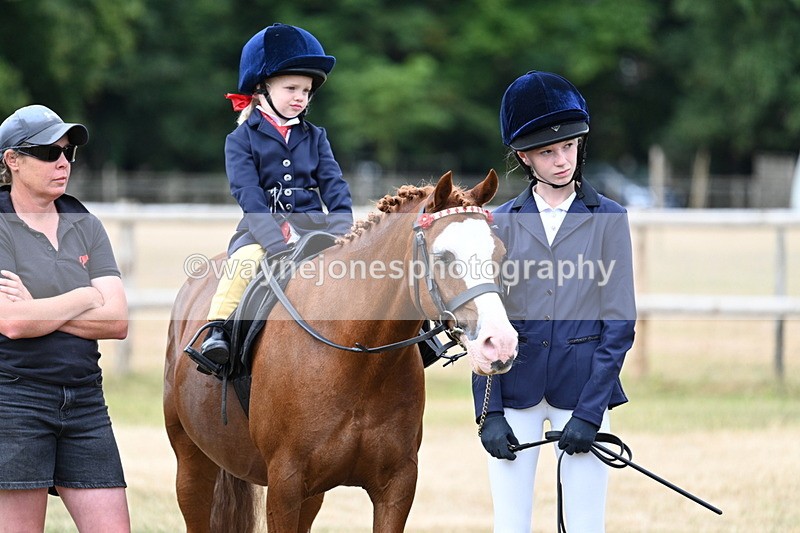 WJ7_9824 - Class 1 Lead Rein Pony