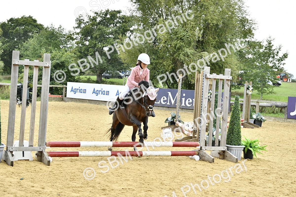 SBM_66187 - J2a mini Tour Junior Pony 30cm Championship