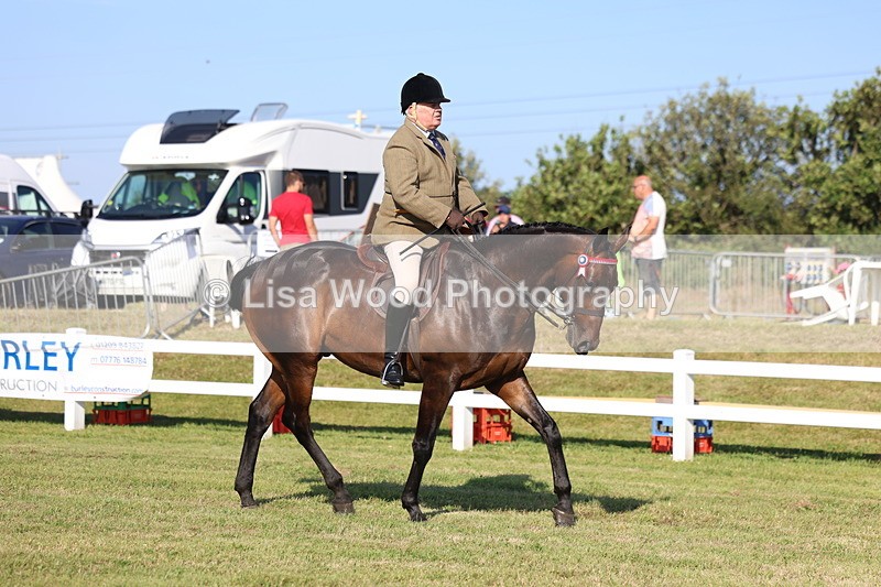 3E7A5289 - Class 2: Rising Star Large Hack/Riding Horse