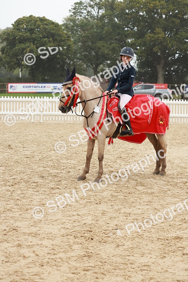 SBM_73517 - Supreme Championship Junior Pony 60cm & 65cm