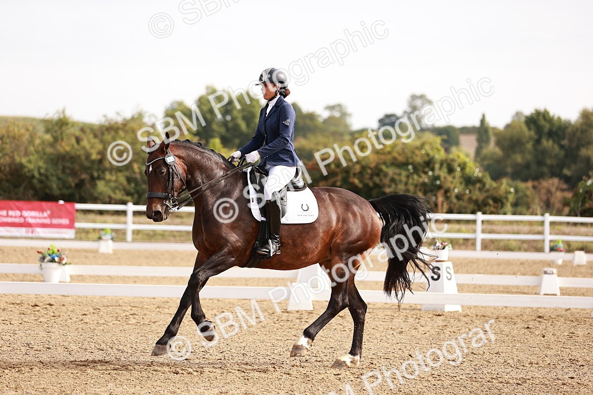 SBM_016943 - Class 10 - Medium 6