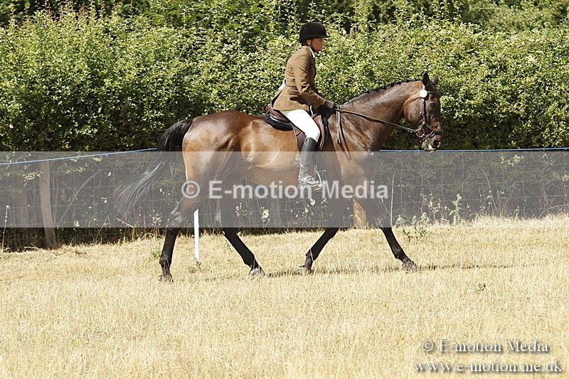 _BS_0718 - BVRC Show 2018 Ring 1