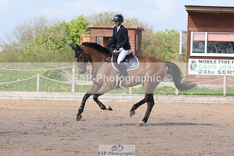 250427-101936-15297 - Cls 32 Young Horse 6yr old