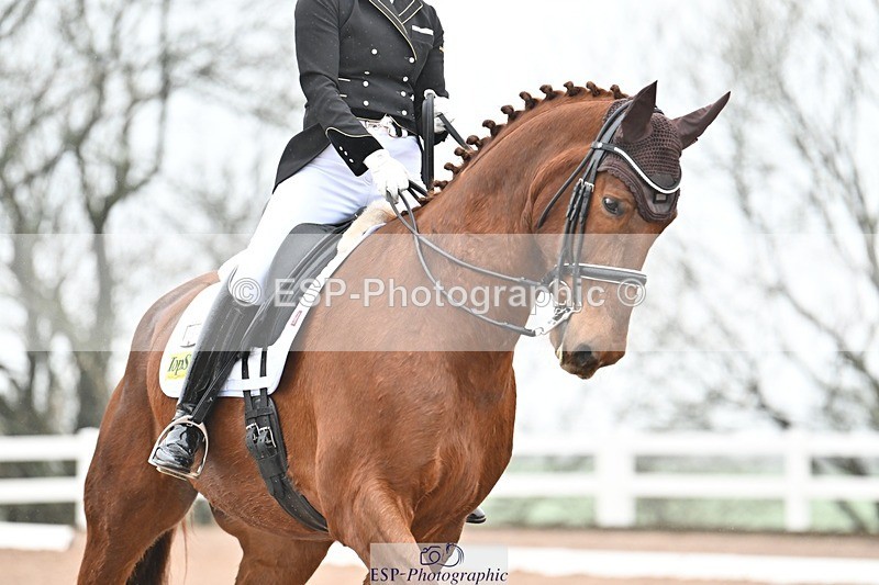 250215-121841-03363 - 234-Hayley.Watson-Greaves-Lamborghini