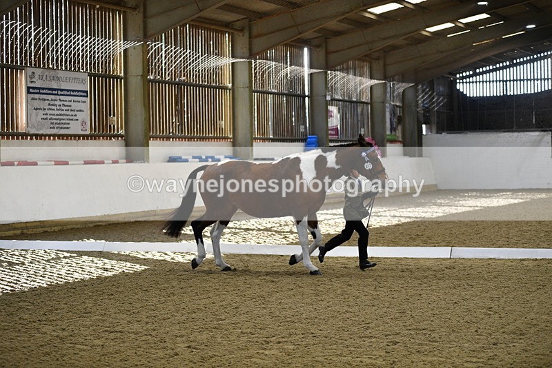 WJ5_3839 - Class 5 In Hand Veterans