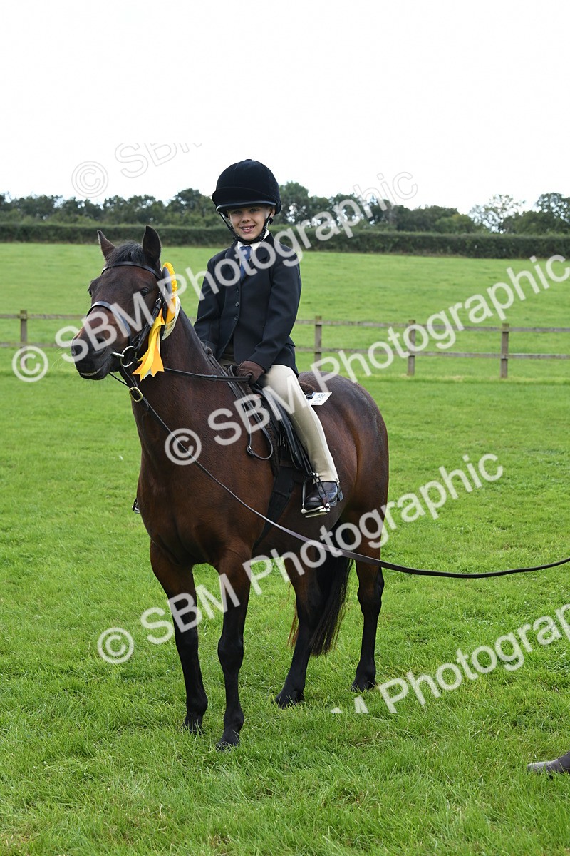 SBM_42687 - S20 - Lead Rein Mountain & Moorland Pony