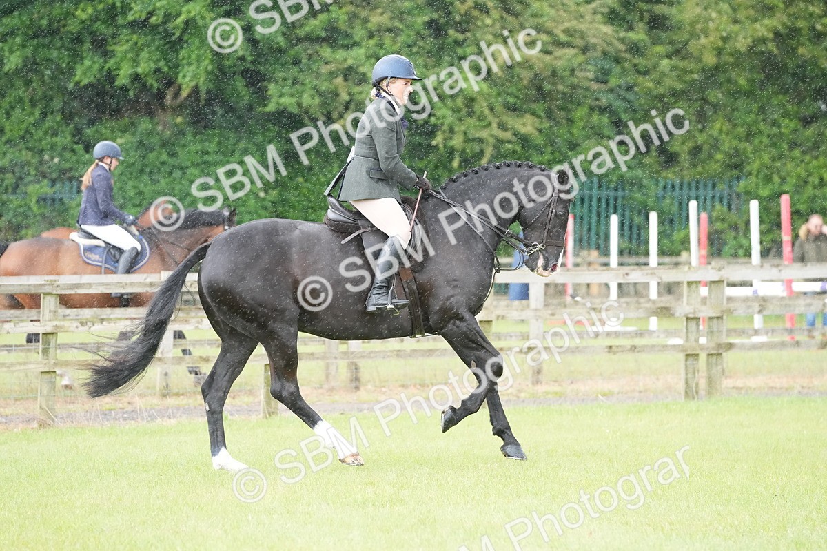 SBM_12664 - Class 97-98 - LIHS BSHA Rising Star Working Show Horse Hunter