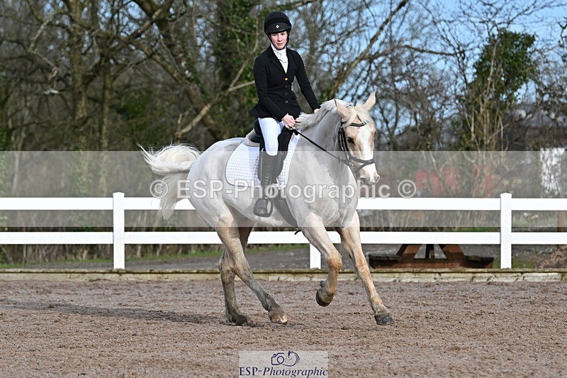 250125-111538-00303 - Dressage - CT Class 5 BE95 (90cm)