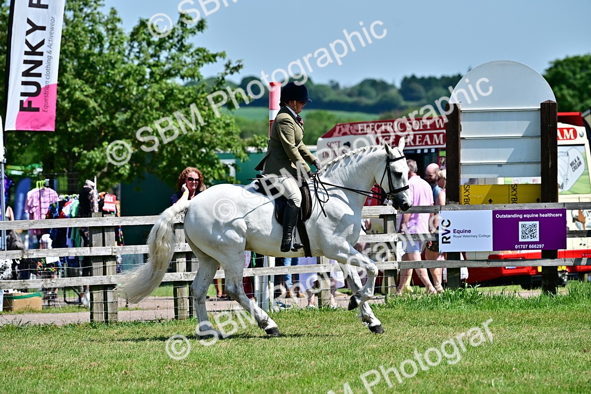 SBM_17491 - Class 95-97 - BSPS LHS Performance Ponies