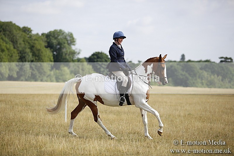 _C7A9283 - BVRC Show 2018 Ring 1