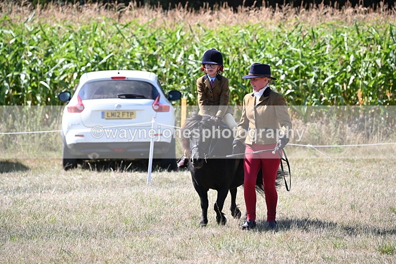 WJ6_8099 - Class 36 Lead Rein