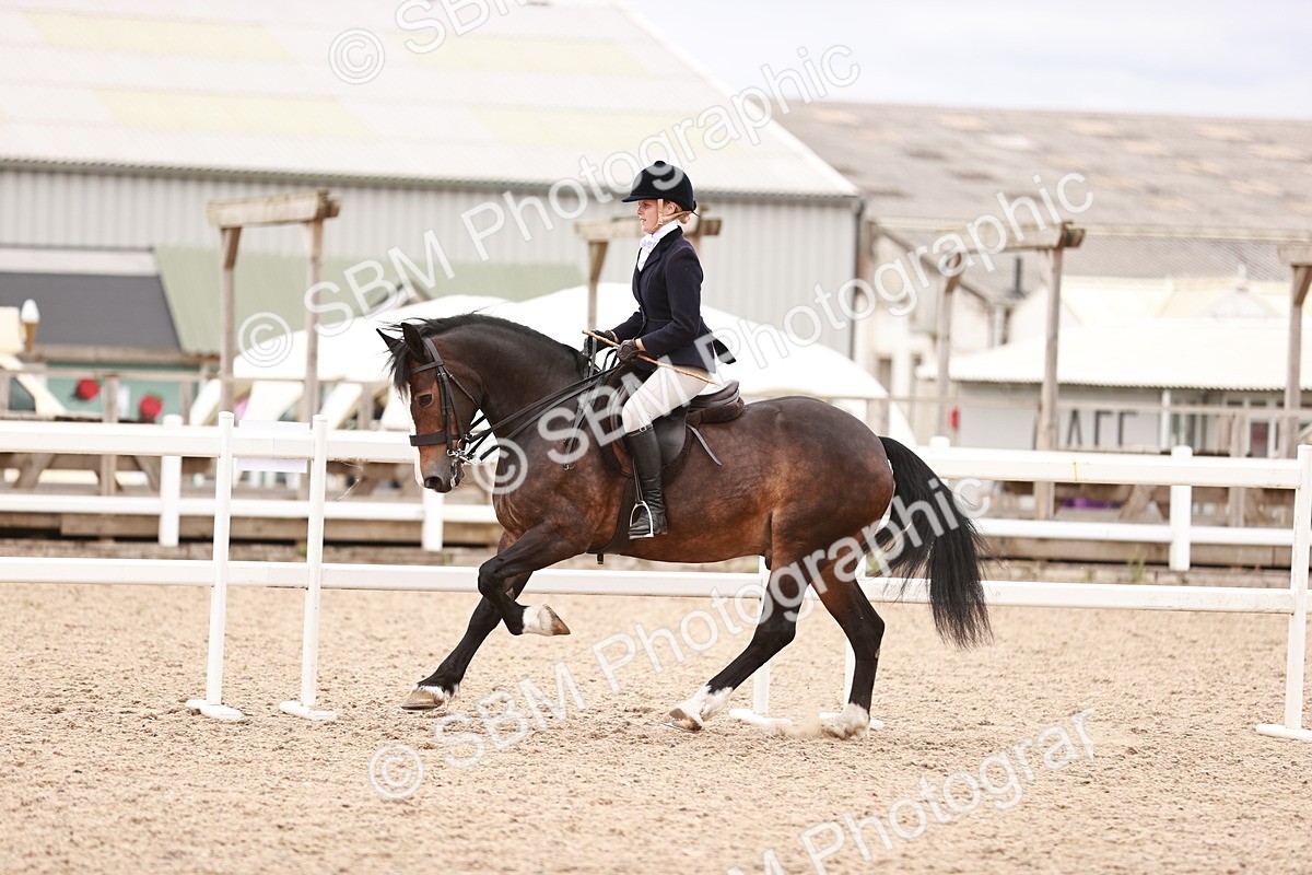 SBM_18985 - Class 422 - Ridden M&M