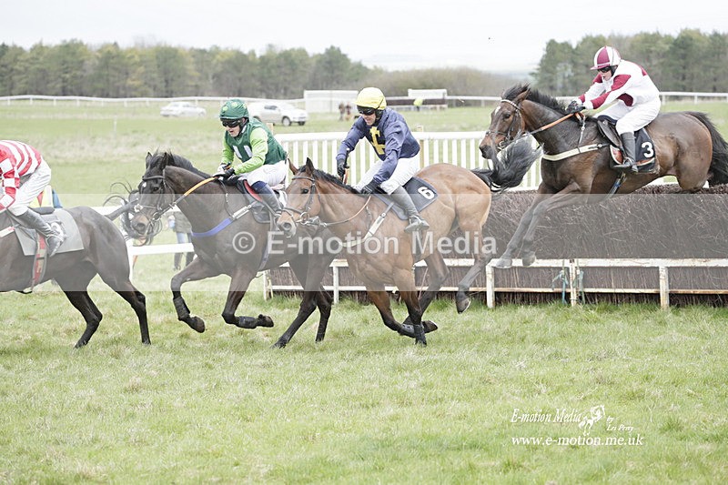 PtP 260323 0497 - New Forest Hounds Point-to-Point Larkhill 26/03/23