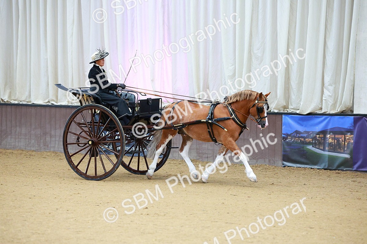 SBM_000013 - Class 1 - Non Hackney Private Drive 13.2hh and Under