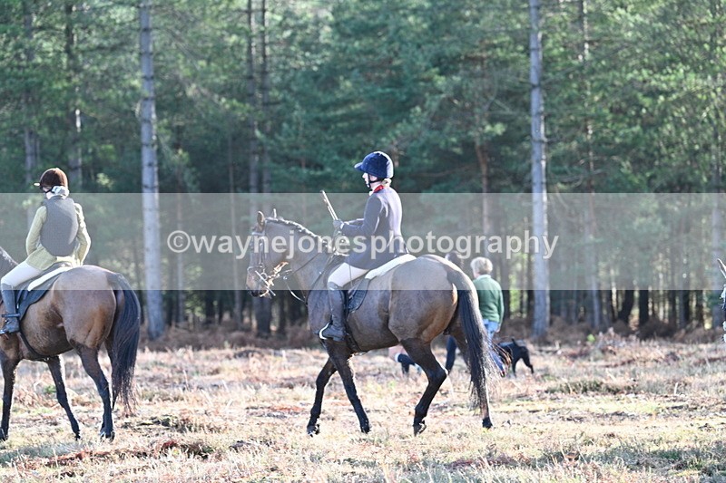 WJ7_7255 - Line 3 (no line 4 or 5)