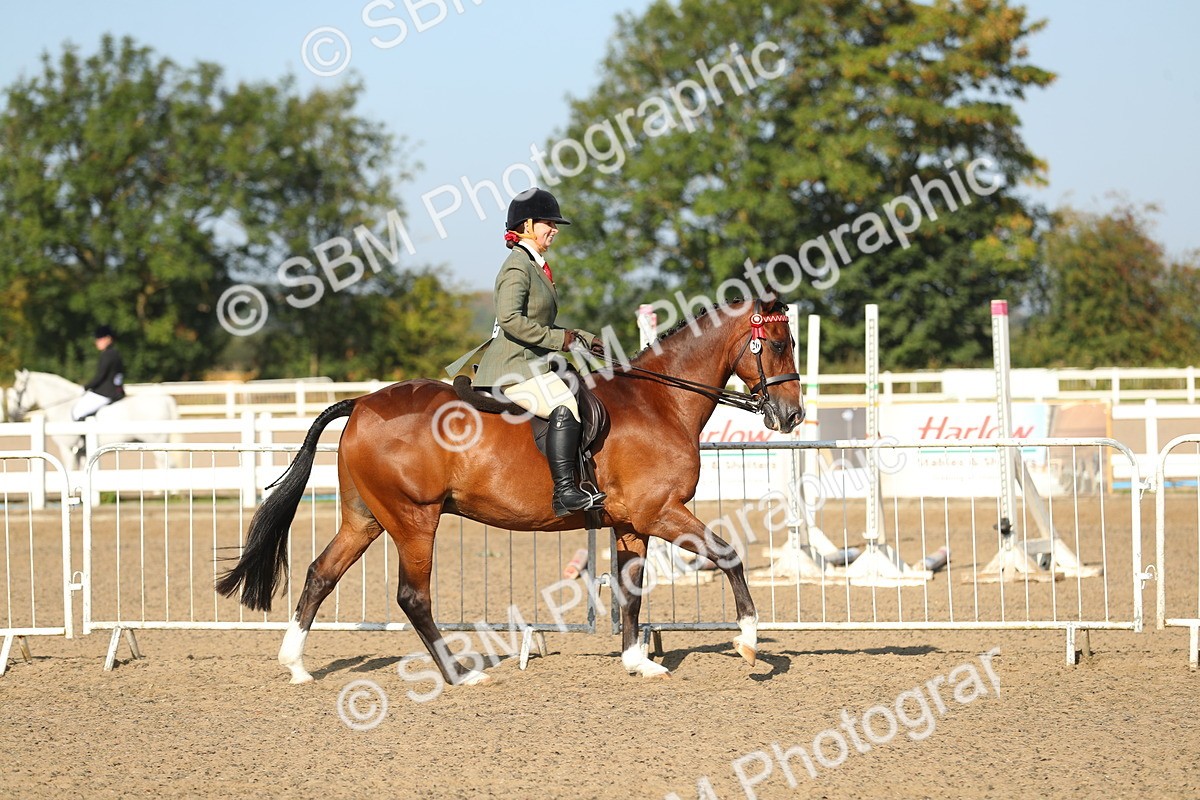 SBM_01131 - Class 42 Ridden Veteran