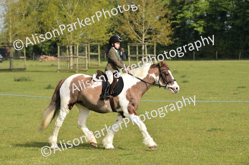 20260426-0867 - Class 18 - Novice Showing