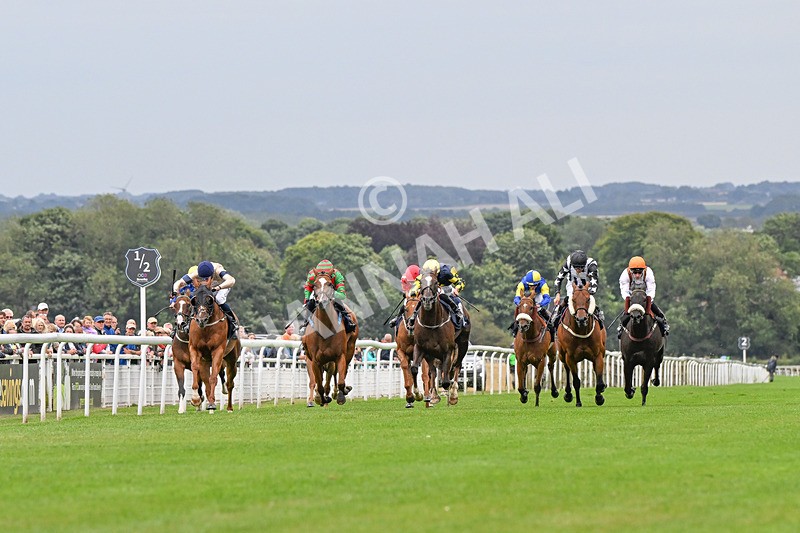 150824-Race 4-Opal Storm-4189 - Race 4