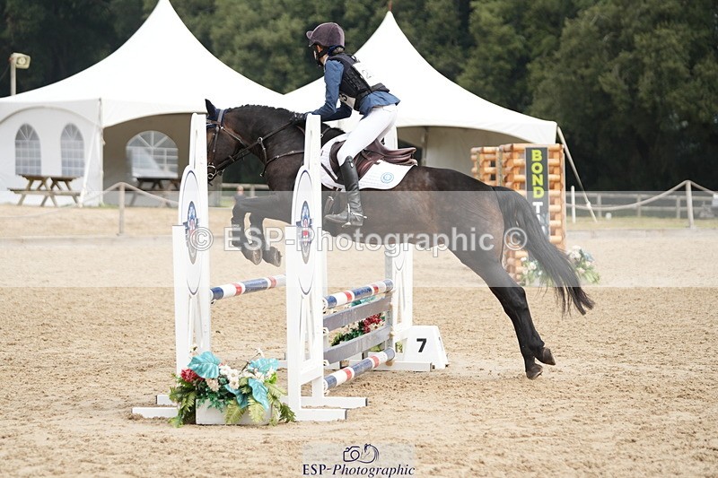 250824A-121437-35886 - 2053-Ava.Sampson-Chameleon