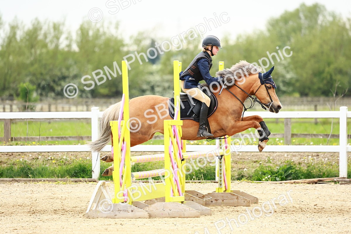 SBM_009107 - Class 5 - 80cm