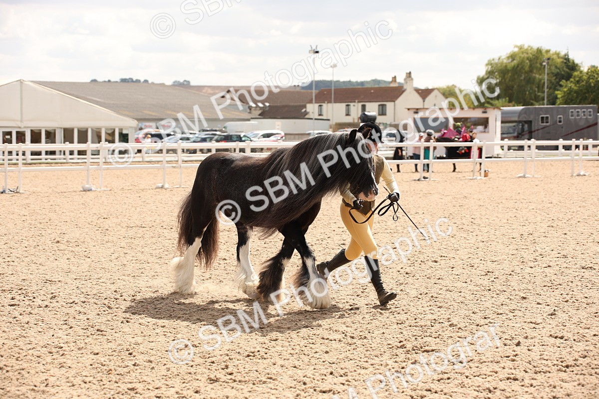 SBM_04640 - Class 20 IH Veteran