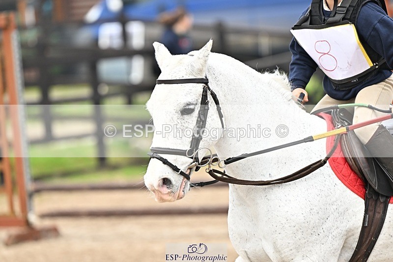 241110-102345-00285 - 40cm Showjumping