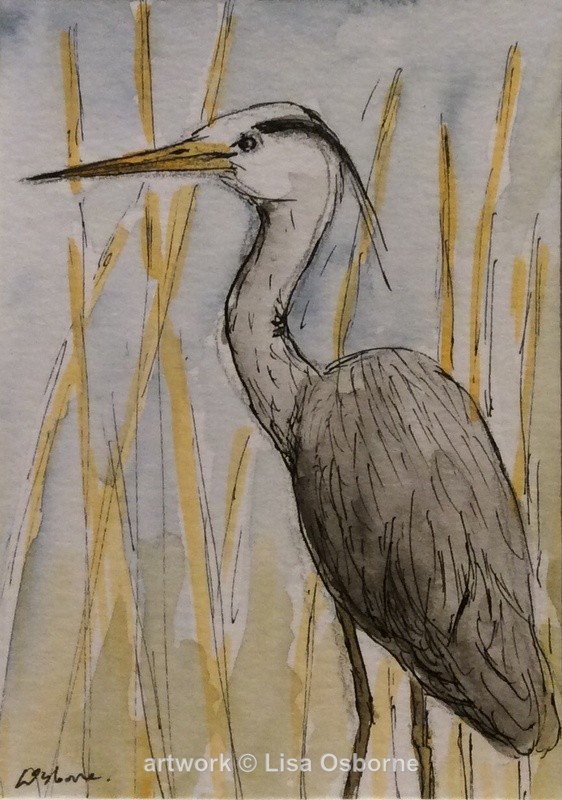 Heron - Animals