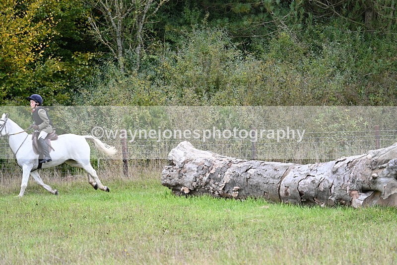 WJ7_3681 - Camera 1 Line 1