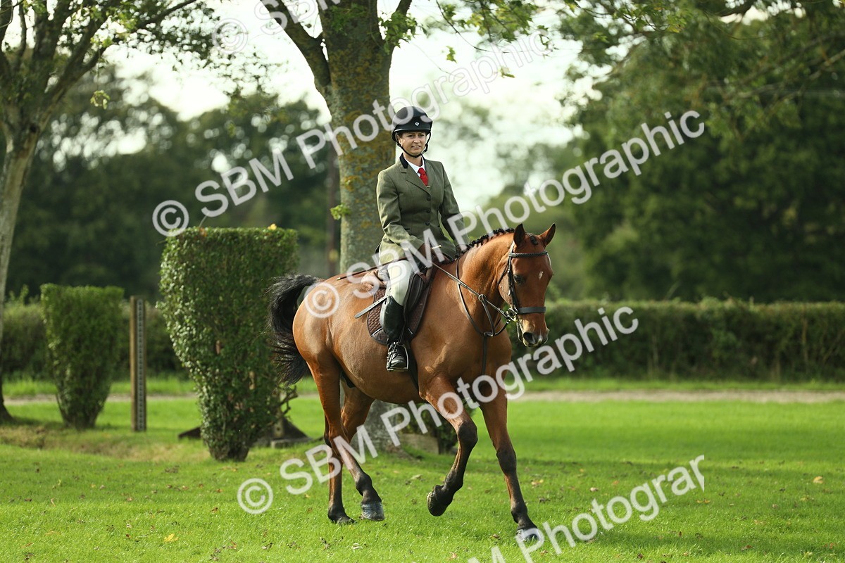 SBM_50669 - S33 - Working Hunter & Working Show Horse