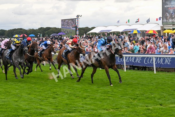 220825-Race 4-Asfoora-7529 - Race 4 3.35pm Coolmore Wootton Bassett Nunthorpe Stakes