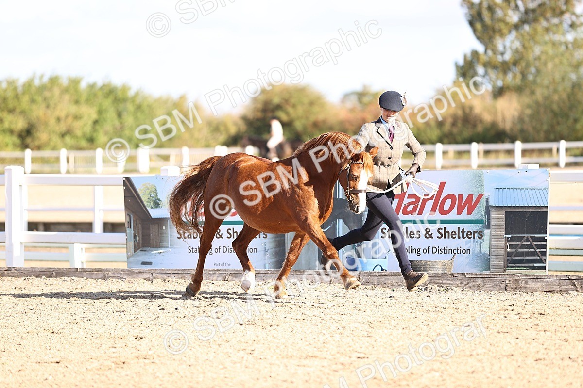 SBM_08418 - Class 402 - IH Veteran Pony