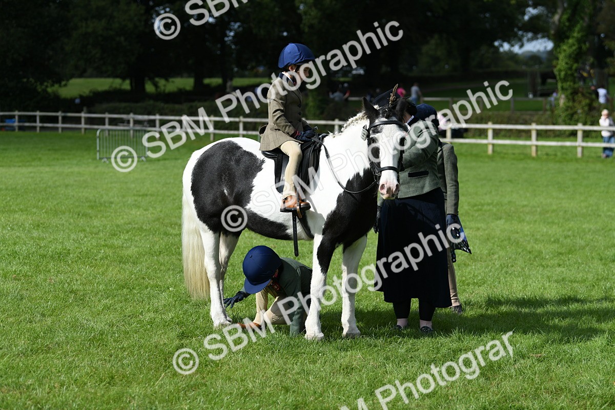SBM_47010 - S12 - Family Horse & Pony