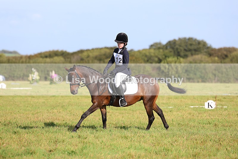 3E7A5976 - Class 1: Trebudannon Open: Dressage (Part 2)
