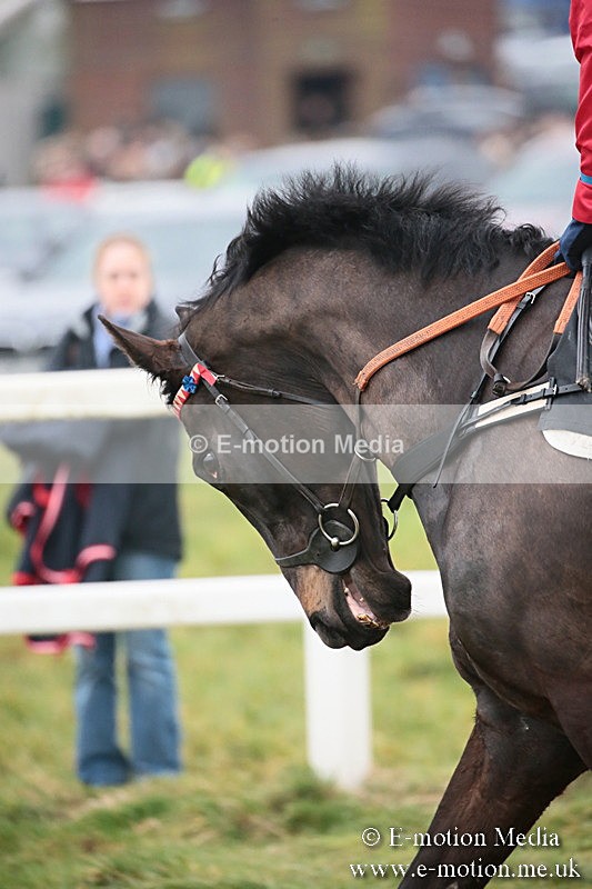 PtP 170219 -385 - Combined Services Point-To-Point Larkhill 17/02/19